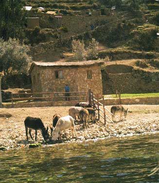 Isla del sol.